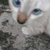 12awdf_