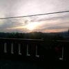 dalsim338