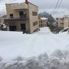 khaledelmerhebi1