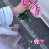 norzebari8