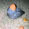 _zalypchik_