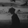 al.ani009