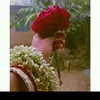 habibasprince