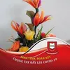 tuanbui0207