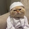 rina_mohmad