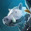 who...why