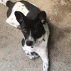 mrschimnon