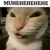 xckakoytochel