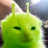 mhmdmarvel1