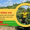 dungvuimaivang.com