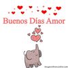 soygir22