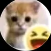 whatislovejj