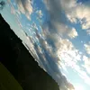 carolinedarosa166