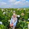 beautifullpark