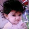all_4hasti