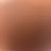 m.e6521