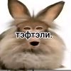 tefteli24