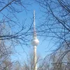 stoldtbirgit