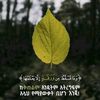 mifta9272