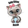 Baby Kitten Rescue