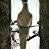 l.o.t.d_666