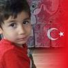 mahmutbaysal487