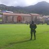 hemersonvillcasleon
