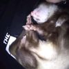 goat_goblin1031