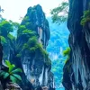 test_vn1234