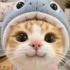 bgy_83
