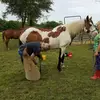leestillrides
