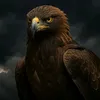 أربيل هي موطني