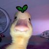 squisyyy_guguramiii_sdb