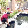 nhathoan6688