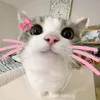 dya0ki33bhz6