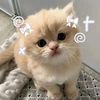 lover__889