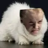 draco_malfoy_561987