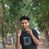 mdpiash387