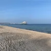 michab913