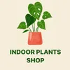 Indoor plant shop