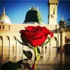 Sunni Seeker