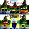 mancarurigustoase👩‍🍳