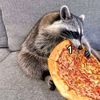 unathimthombeni6