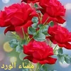 dy6455mmctm9