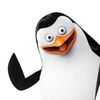 andy_sloot