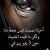 nouraalotaibi445