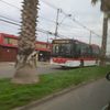 Junior El Busólogo