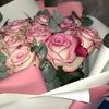 rosebrune0