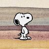 shomer_7