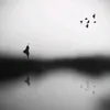 antpelleg32